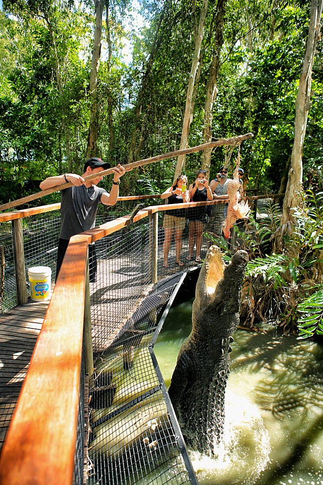 Hartley's Creek Crocodile Farm - Hartley's Crocodile Adventures