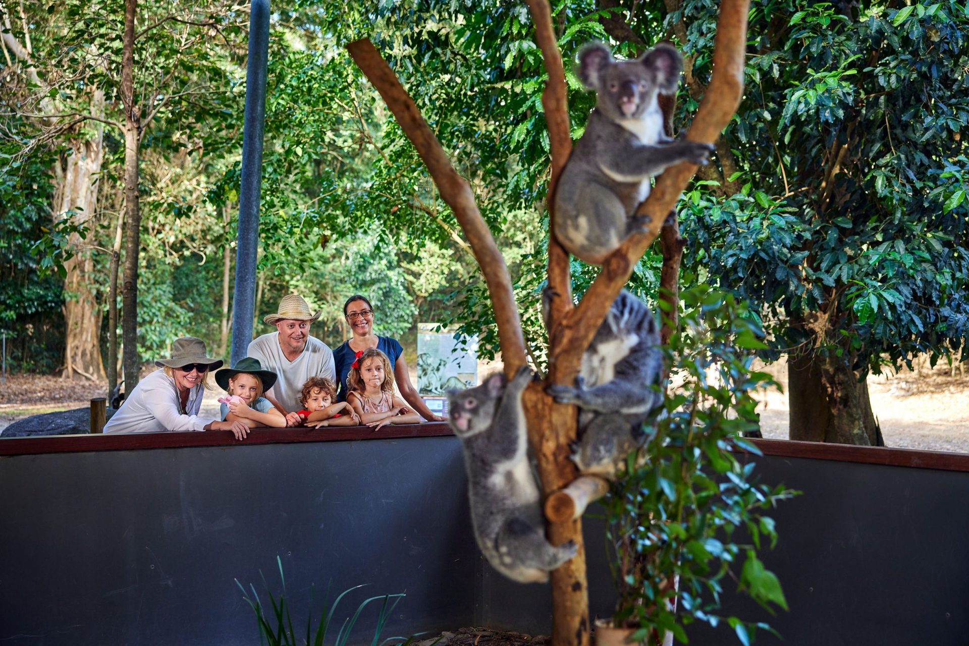 148095-2021_TNQ_Wangetti_HartleysCrocodileAdventures_BradNewton_210724_13497-8