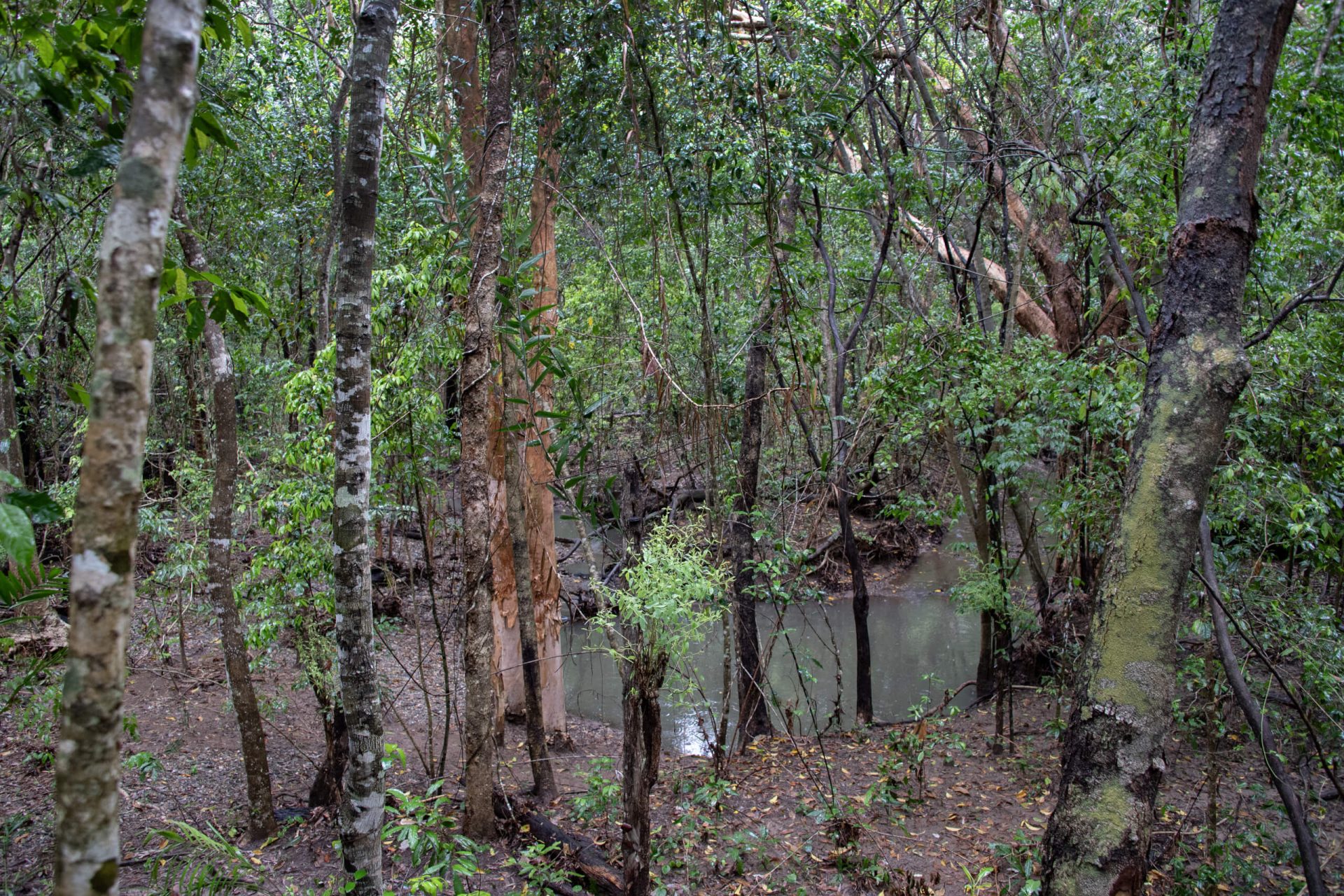 20240111Hartley'sCrocAdventures_PreReopening1141-1