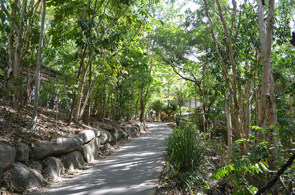 9.-Pathways-throughout-Hartley-s-Crocodile-Adventures