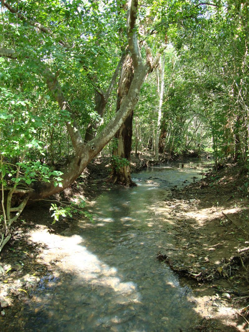 TP creek long view 2010